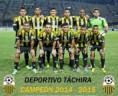 /album/fotogaleria/deportivotachira-2015campeon-jpg/
